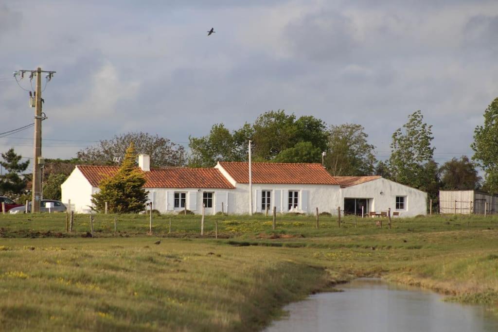 Maison De Charme Au Coeur Des Marais Pour 6 Pers. Bouin  Exterior foto